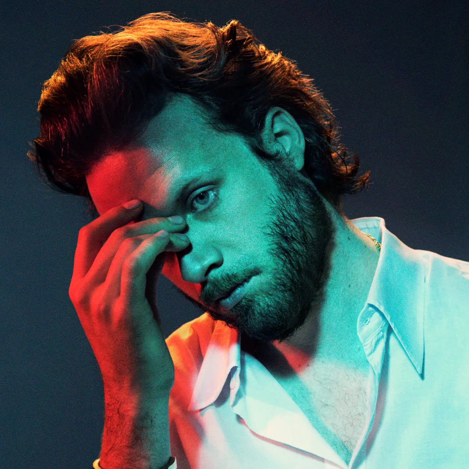 Father John Misty God's Favorite