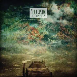 אביב גדג' שרף אורנים תקליט כפול