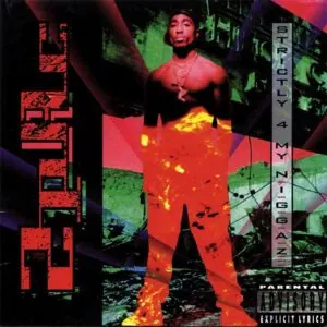 2pac - Strictly 4 My Niggaz (2LP Vinyl)