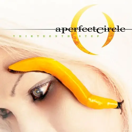 A PERFECT CIRCLE THIRTEENTH STEP