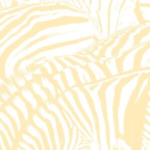 BEACH HOUSE TEEN DREAM