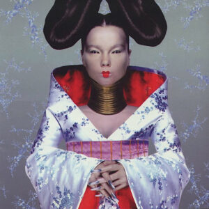 BJORK HOMOGENIC