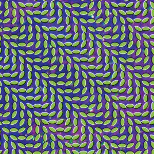 ANIMAL COLLECTIVE MERRIWEATHER