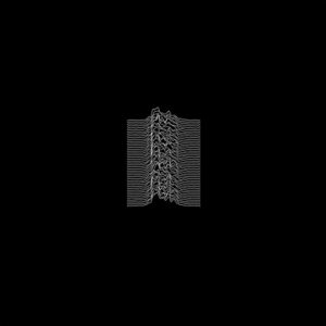 JOY DIVISION UNKNOWN