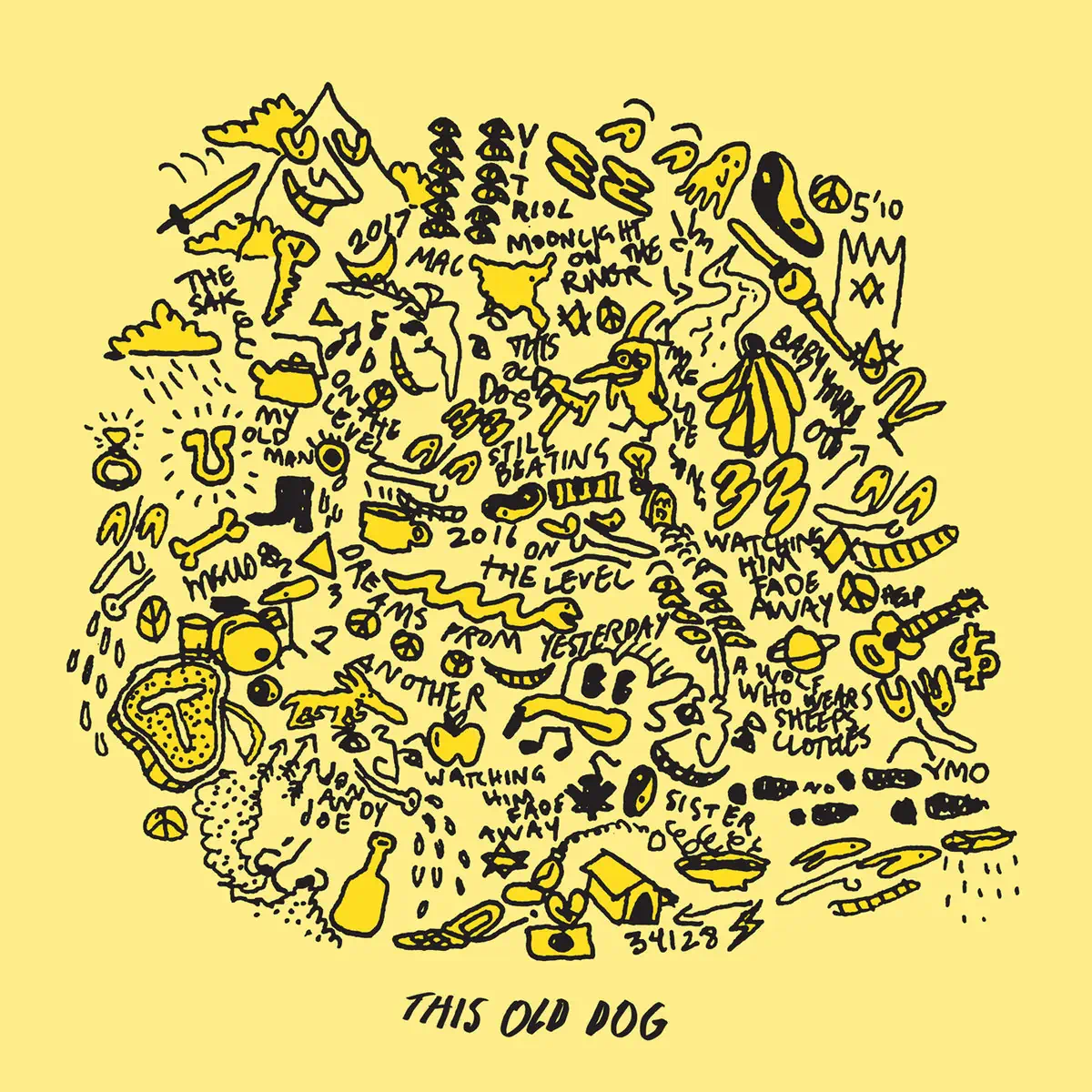 MAC DEMARCO THIS OLD DOG