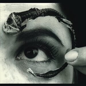 MR. BUNGLE DISCO VOLANTE