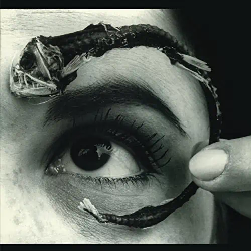 MR. BUNGLE DISCO VOLANTE