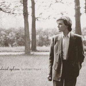 DAVID SYLVIAN - BRILLIANT TREES