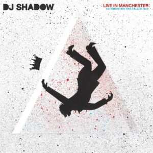 DJ SHADOW LIVE