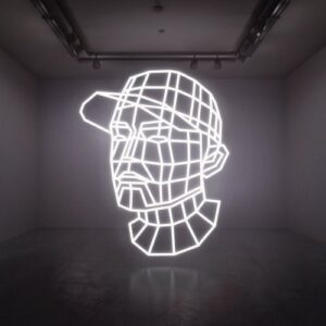 DJ SHADOW BEST