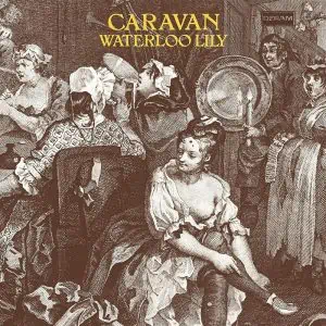 CARAVAN WATERLOO LILY
