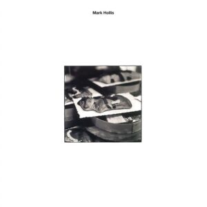 MARK HOLLIS