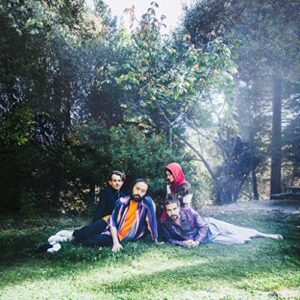 BIG THIEF UFO