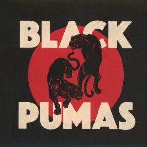 BLACK PUMAS VINYL