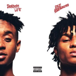 SREMMLIFE