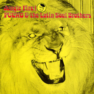 JUNGLE FIRE