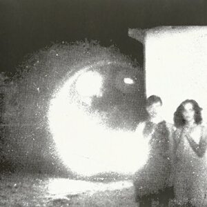 OTHER LIVES - TAMER ANIMALS