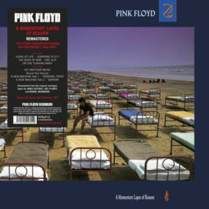 PINK FLOYD MOMENTARY
