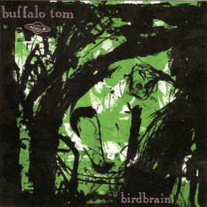 buffalo tim - bird brain