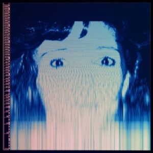 The Avalanches - We Will Always Love You 2LP