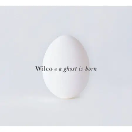 Wilco Ghost Is Born vinyl
