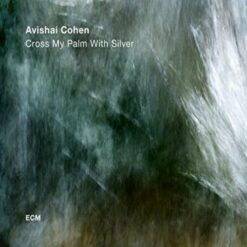 Avishai Cohen Quartet - Cross My Palm With Silver
