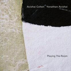 Avishai Cohen / Yonathan Avishai: Playing The Room