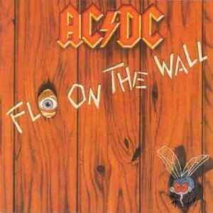 Fly On The Wall