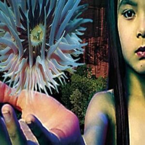 Future Sound Of London - Lifeforms 2LP
