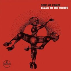 Sons Of Kemet - Black To The Future 2LP