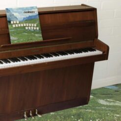 Grandaddy - The Sophware Slump... On a Wooden Piano