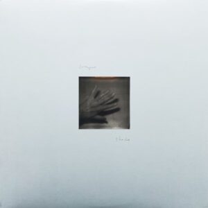 Grouper – Shade