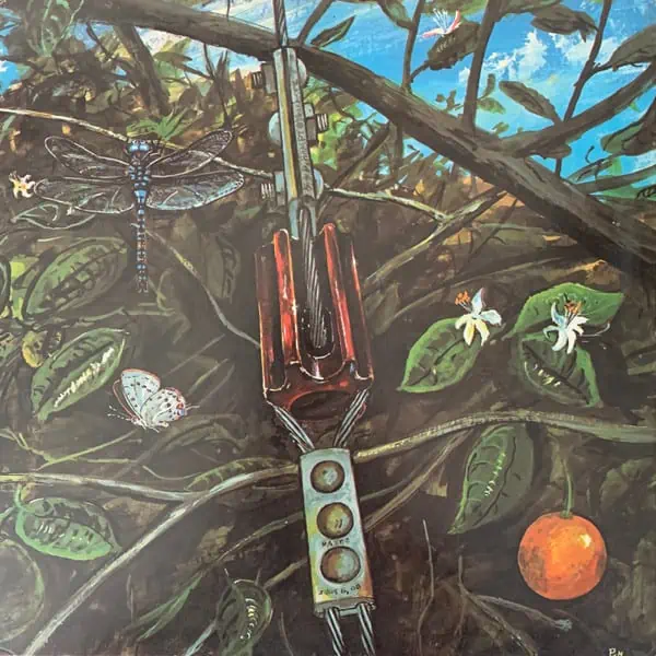 Dragonfly – Dragonfly
