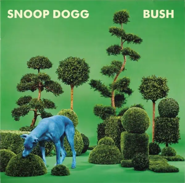 Snoop Bush