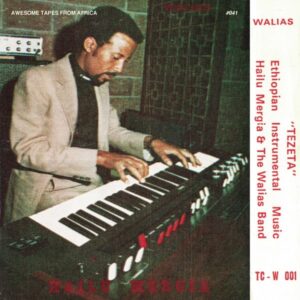 Hailu Mergia & The Walias Band – Tezeta