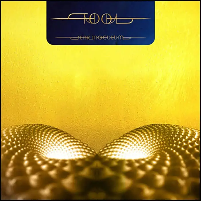 Tool – Fear Inoculum 3LP