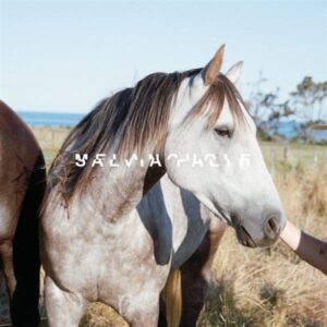 Salvia Palth - Melanchole Coloured Vinyl