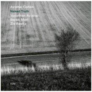 Avishai Cohen - Naked truth