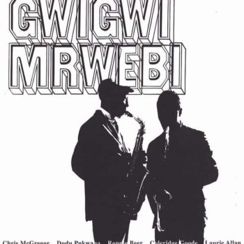 Gwigwi Mrwebi – Mbaqanga Songs