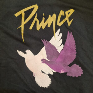 princedovesfront