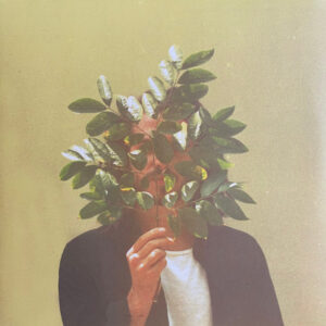 FKJ – French Kiwi Juice