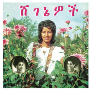 Ashine - Beauties