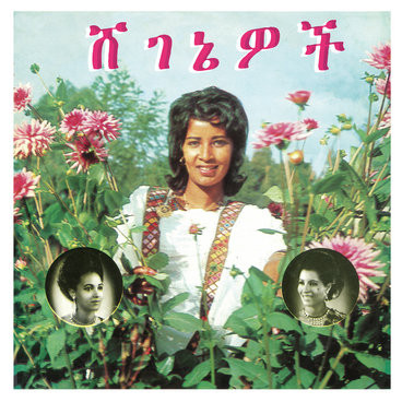 Ashine - Beauties