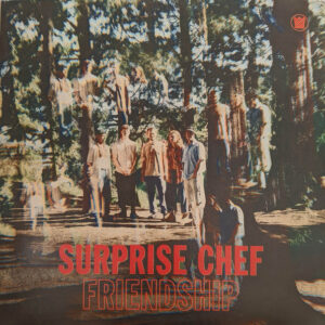surprisechefvinyl
