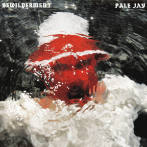 Pale Jay – Bewilderment