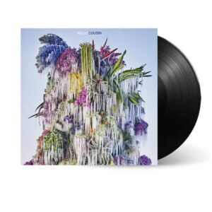 Wilco - Cousin