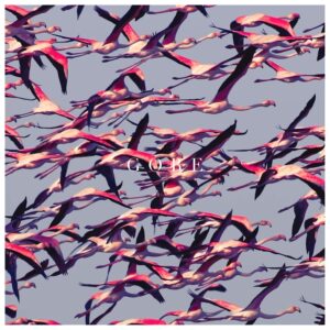 Deftones - Gore (2LP Vinyl)