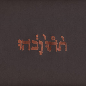 Godspeed You Black Emperor! – Slow Riot For New Zero Kanada E.P.