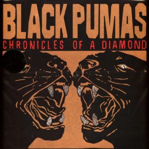 Black Pumas – Chronicles Of A Diamond (Clear Vinyl)