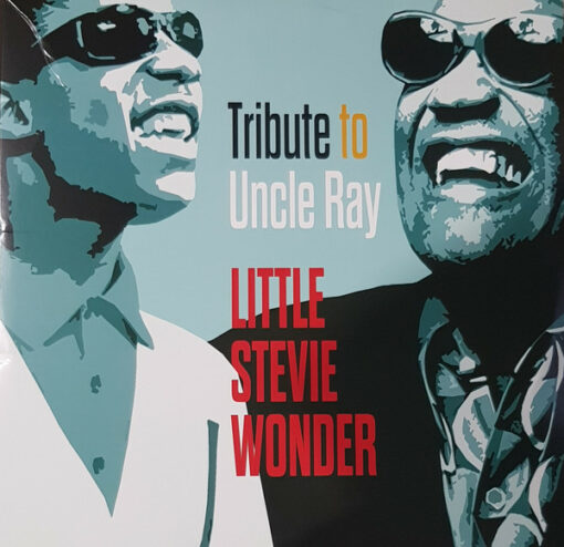Little Stevie Wonder – Tribute To Uncle Ray